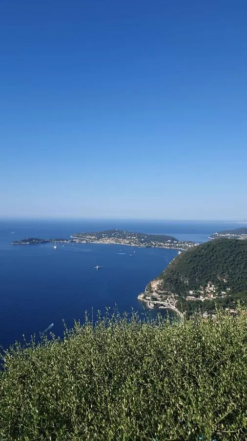 Appartement Villa D'Arte Mortola Superiore