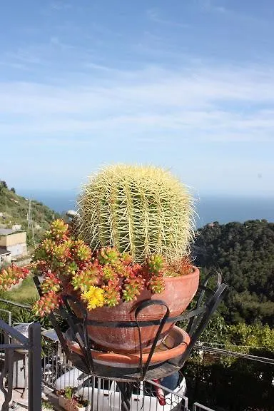 Apartment Villa D'Arte Mortola Superiore Italy