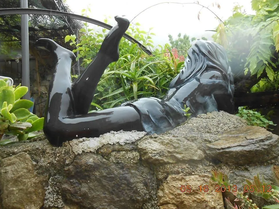 Villa D'Arte Mortola Superiore 0*,